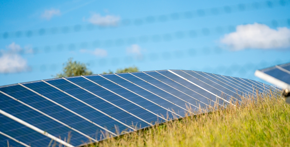 ペロブスカイト太陽電池の価格と市場動向(2025年最新)